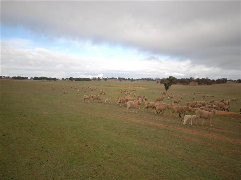 Lot 17382, Popanyinning WA 6309