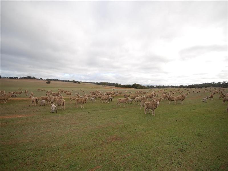 Lot 17382, Popanyinning WA 6309