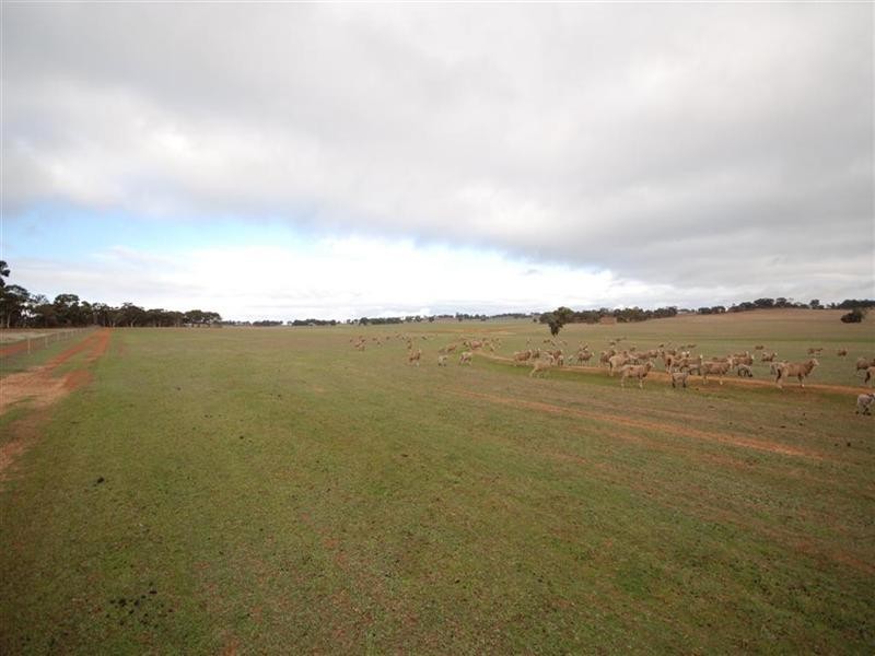 Lot 17382, Popanyinning WA 6309