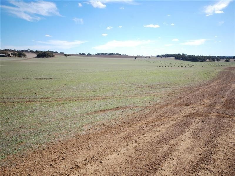 Lot 17382, Popanyinning WA 6309