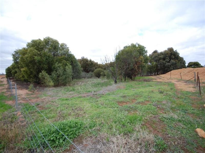 3 Hotham Street, Cuballing WA 6311