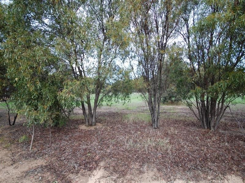 3 Hotham Street, Cuballing WA 6311