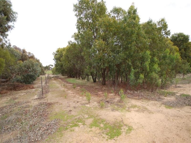 3 Hotham Street, Cuballing WA 6311