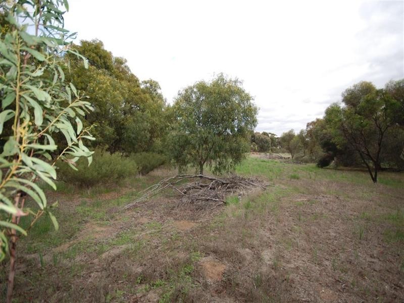 3 Hotham Street, Cuballing WA 6311