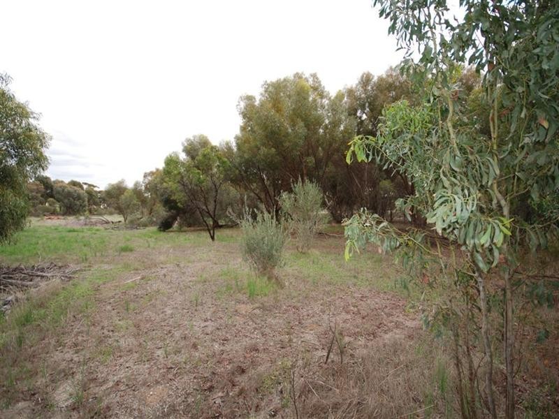 3 Hotham Street, Cuballing WA 6311