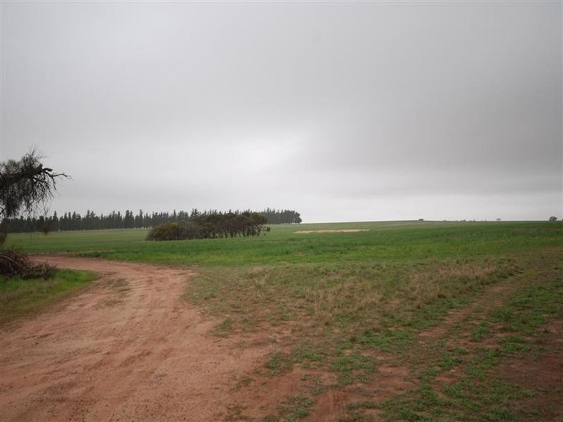 L11478/ 86 GATE Road, Wickepin WA 6370