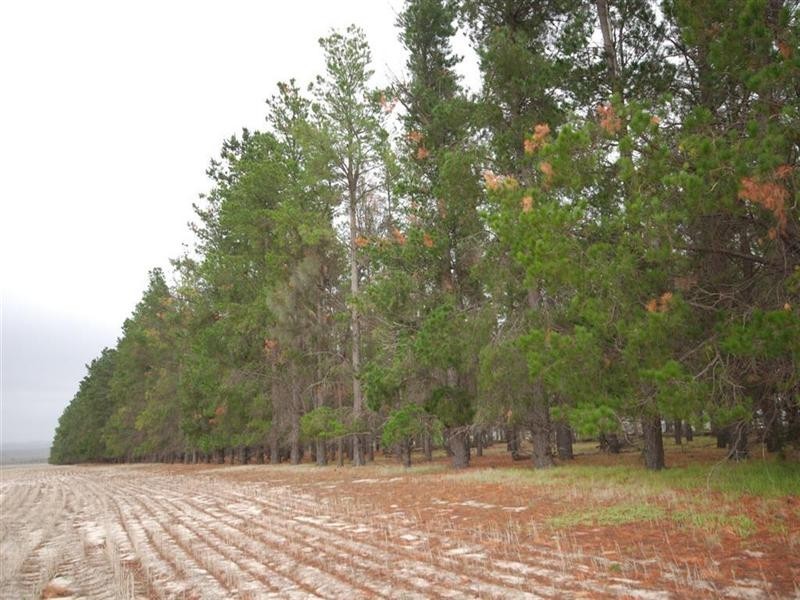 L11478/ 86 GATE Road, Wickepin WA 6370