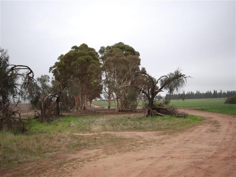 L11478/ 86 GATE Road, Wickepin WA 6370