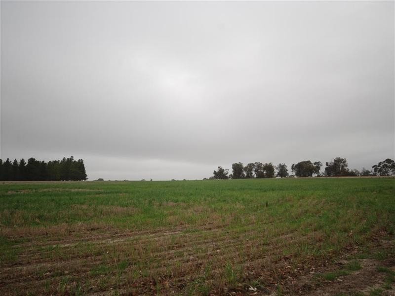 L11478/ 86 GATE Road, Wickepin WA 6370