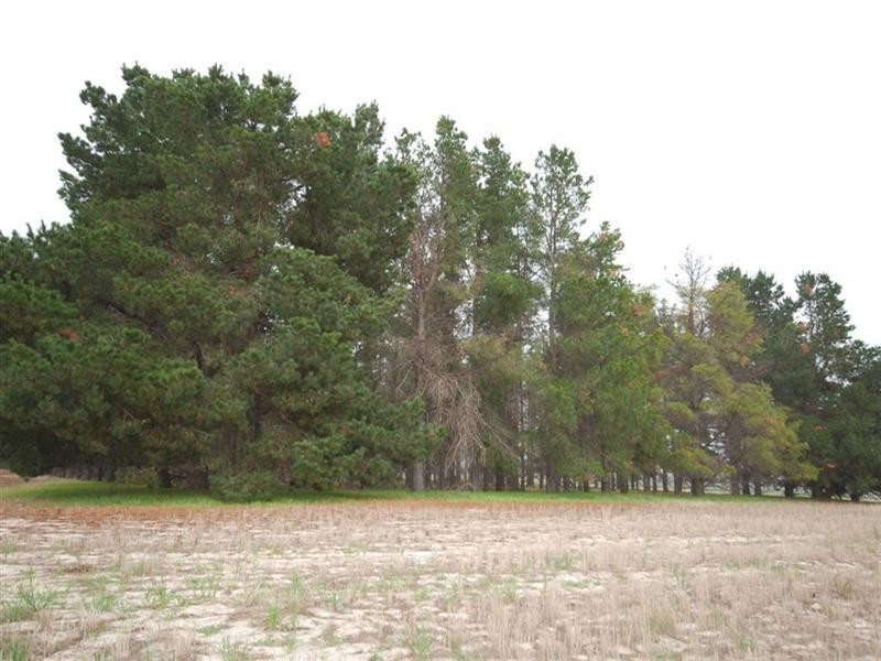 L11478/ 86 GATE Road, Wickepin WA 6370