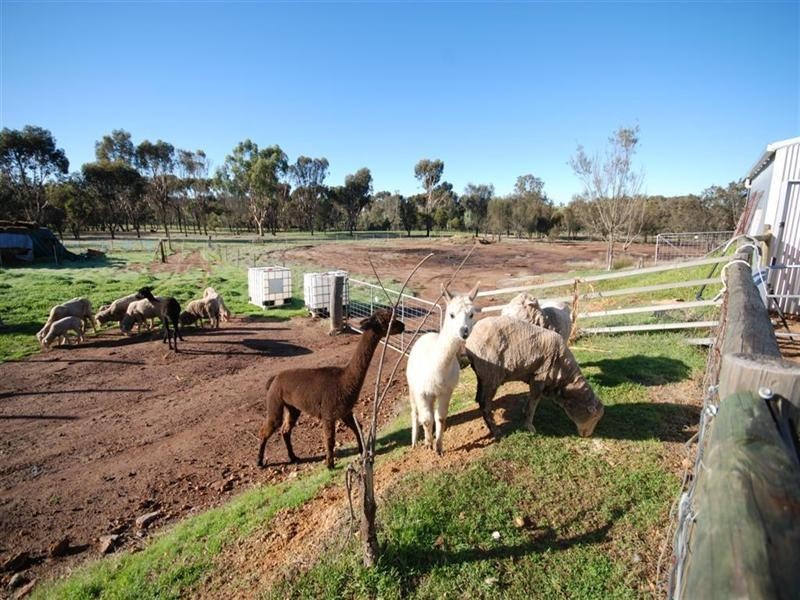 77 Graham Road, Narrogin WA 6312