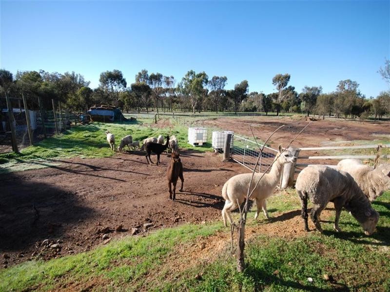 77 Graham Road, Narrogin WA 6312