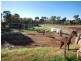 77 Graham Road, Narrogin WA 6312