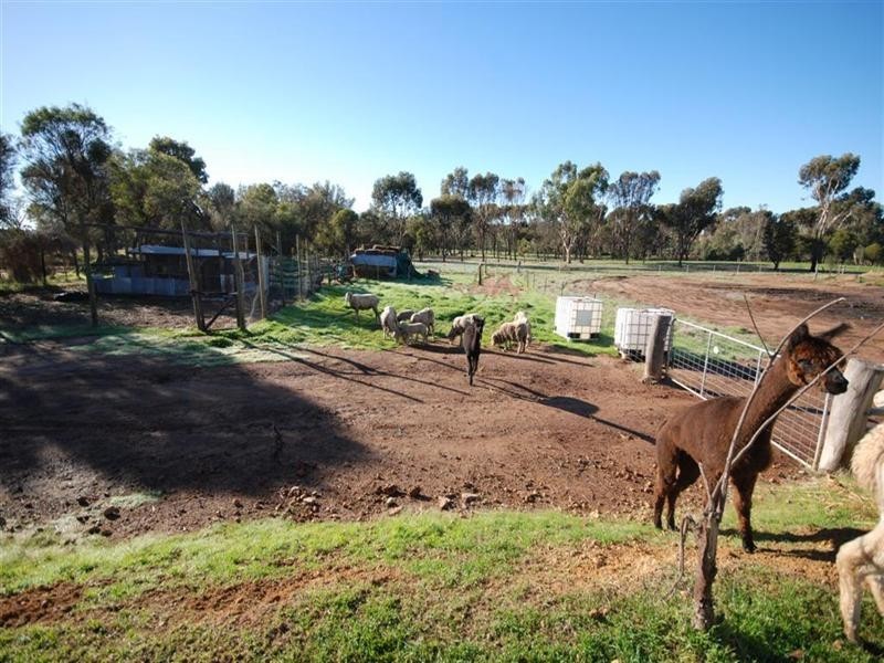 77 Graham Road, Narrogin WA 6312