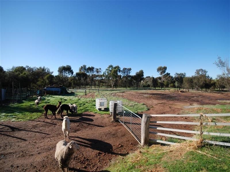 77 Graham Road, Narrogin WA 6312