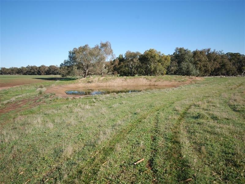 77 Graham Road, Narrogin WA 6312