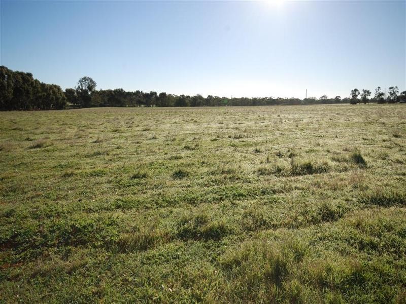 77 Graham Road, Narrogin WA 6312