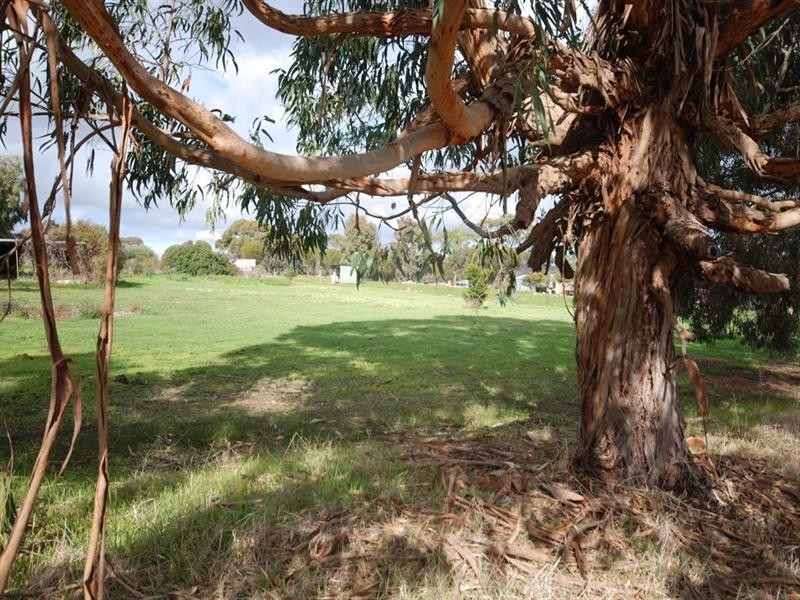 272 Bullara Street, Cuballing WA 6311