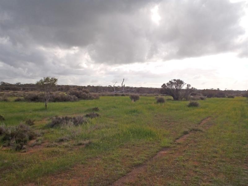 L2559 Great Southern Highway, Piesseville WA 6315