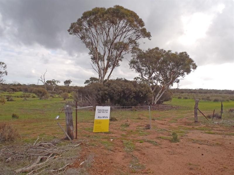 L2559 Great Southern Highway, Piesseville WA 6315