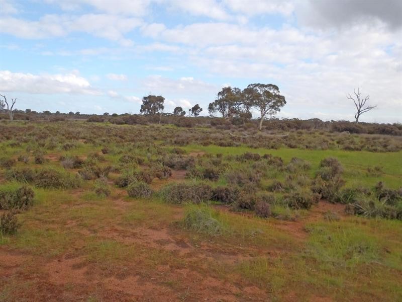 L2559 Great Southern Highway, Piesseville WA 6315