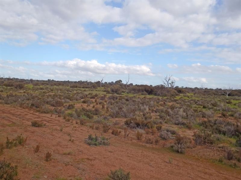 L2559 Great Southern Highway, Piesseville WA 6315