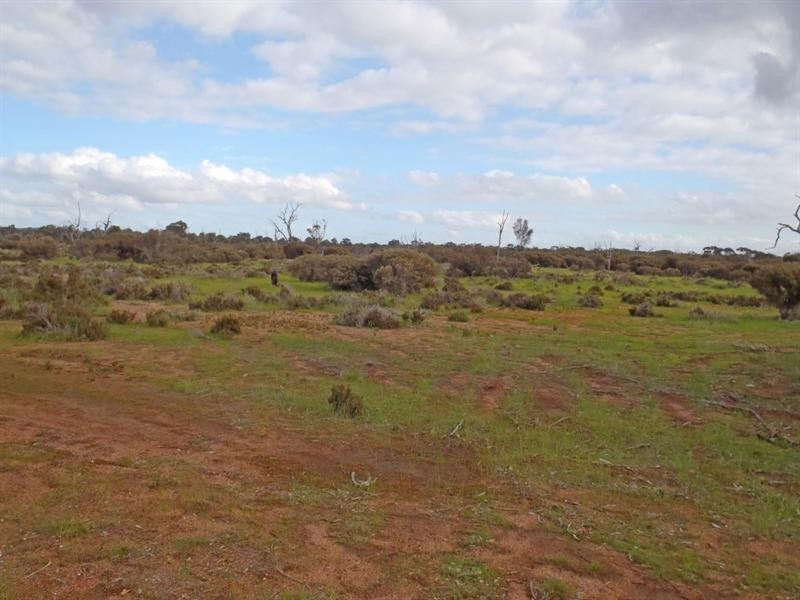 L2559 Great Southern Highway, Piesseville WA 6315