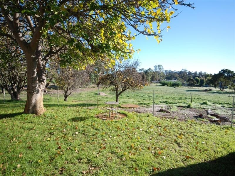 83 Scaddan Street, Narrogin WA 6312