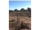 813 and 814 Richards Street, Wagin WA 6315