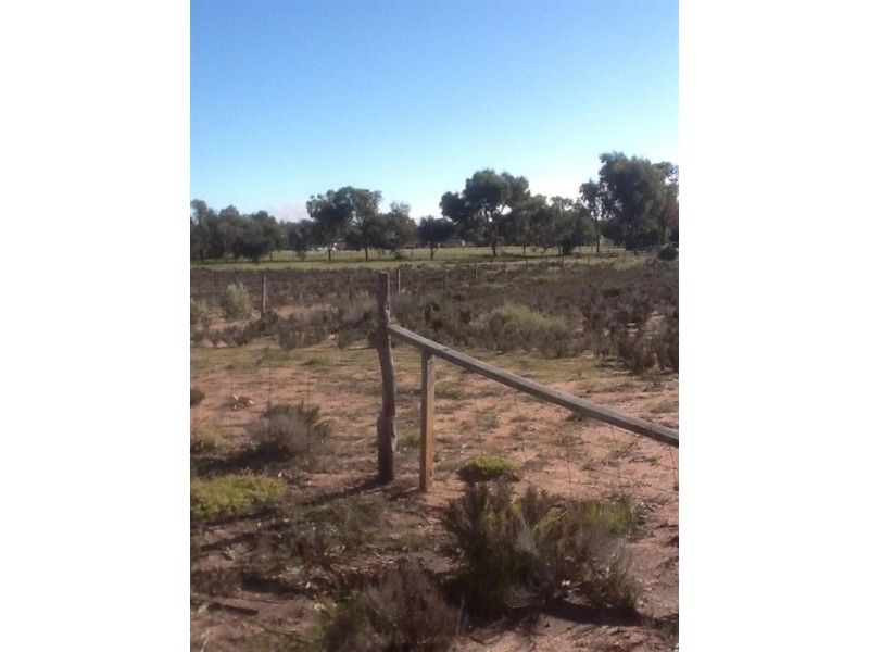 813 and 814 Richards Street, Wagin WA 6315