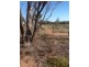 813 and 814 Richards Street, Wagin WA 6315