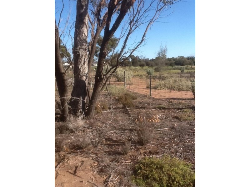 813 and 814 Richards Street, Wagin WA 6315