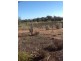 813 and 814 Richards Street, Wagin WA 6315