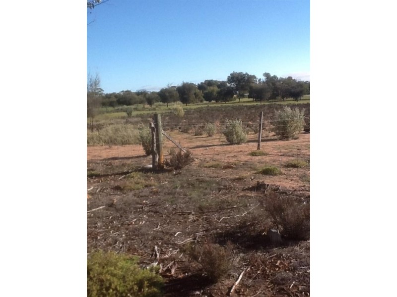 813 and 814 Richards Street, Wagin WA 6315