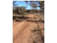813 and 814 Richards Street, Wagin WA 6315