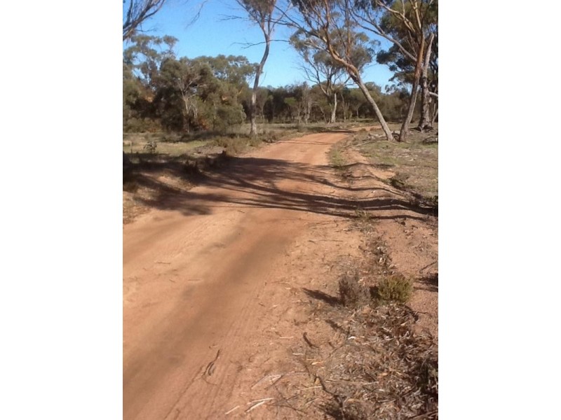 813 and 814 Richards Street, Wagin WA 6315