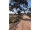 813 and 814 Richards Street, Wagin WA 6315