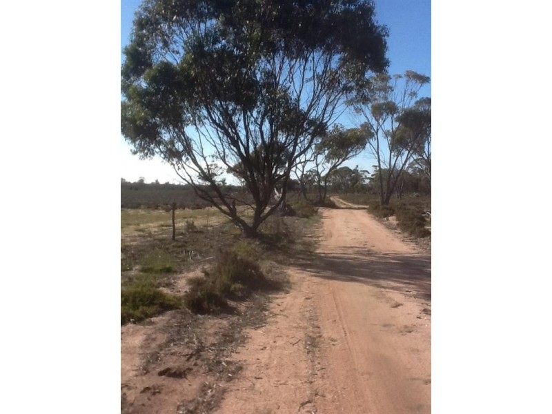813 and 814 Richards Street, Wagin WA 6315