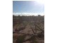 813 and 814 Richards Street, Wagin WA 6315