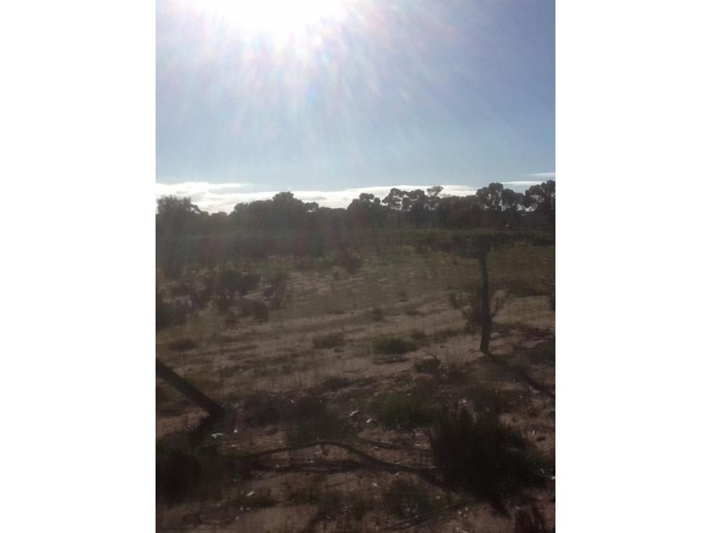 813 and 814 Richards Street, Wagin WA 6315
