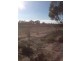 813 and 814 Richards Street, Wagin WA 6315