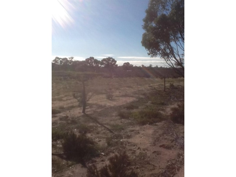 813 and 814 Richards Street, Wagin WA 6315