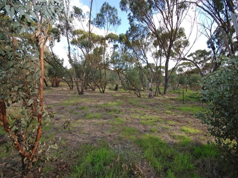 60 Colin Street, Cuballing WA 6311