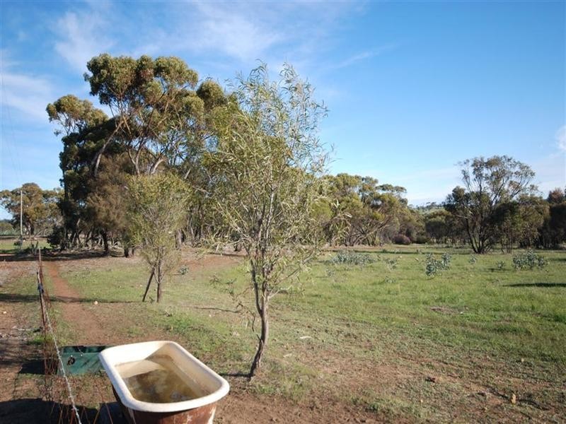 112 Munro Street, Cuballing WA 6311