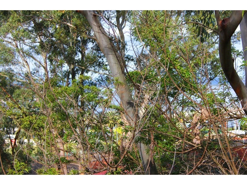 8/63 Donnison Street, West Gosford NSW 2250