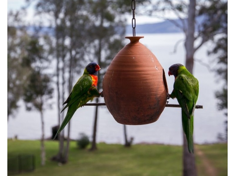 1/309 Avoca Drive, Green Point NSW 2251