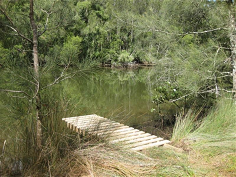 Springfield NSW 2250