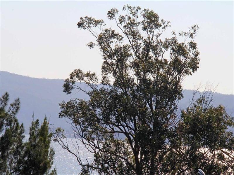 Green Point NSW 2251