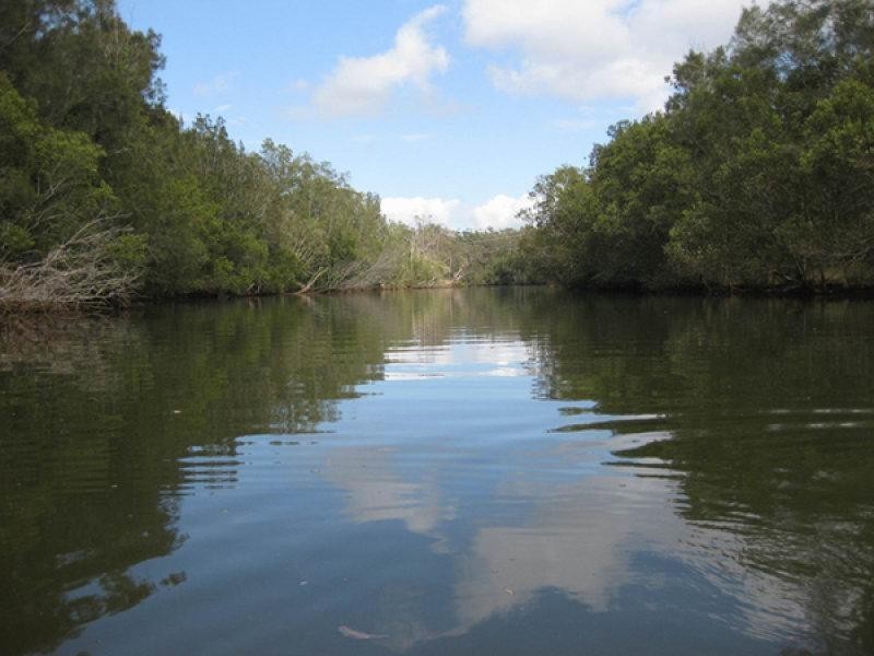 Springfield NSW 2250