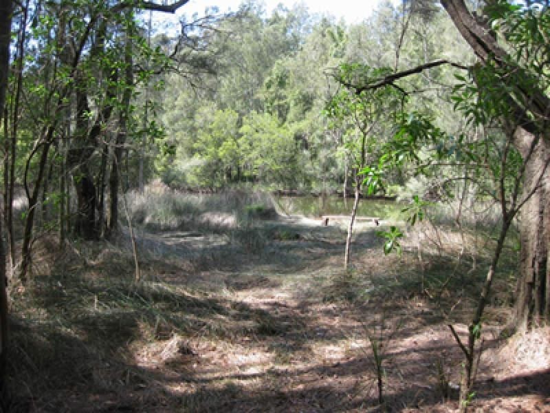 Springfield NSW 2250